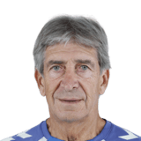Manuel Pellegrini