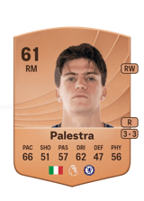 Palestra 61