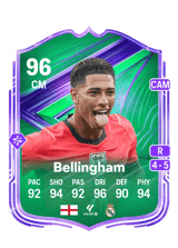 Bellingham 96