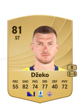 Džeko 81