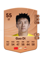Gao Di 55