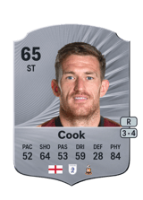 Cook 65