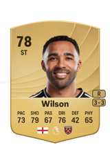 Wilson 81