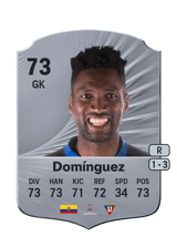 Domínguez 73