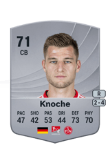 Knoche 71