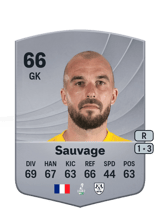 Sauvage 66