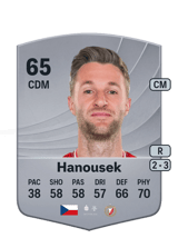 Hanousek 65