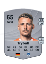 Trybull 65