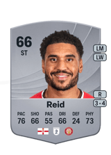 Reid 66