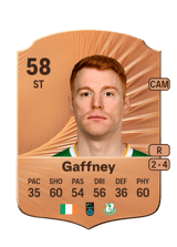 Gaffney 58