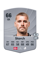 Storch 66