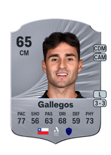Gallegos 65