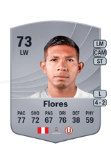 Flores 73