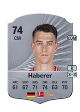 Haberer 74