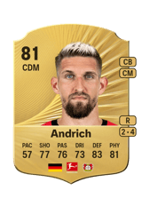 Andrich 81