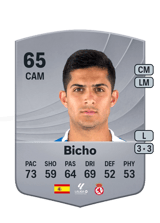 Bicho 65