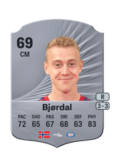 Bjørdal 69