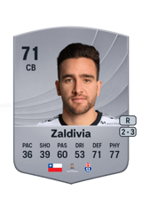 Zaldivia 71