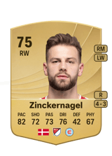 Zinckernagel 75