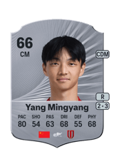 Yang Mingyang 66