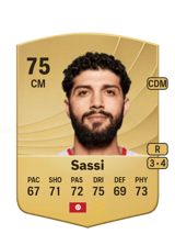 Sassi 75