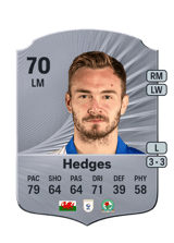 Hedges 70