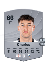Charles 66