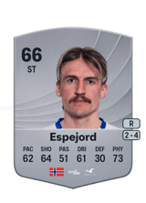 Espejord 66