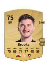 Brooks 75