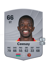 Ceesay 66