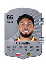 Carvallo 66