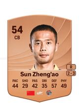 Sun Zheng'ao 54