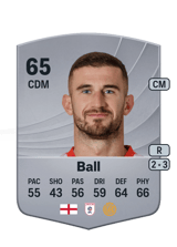 Ball 65