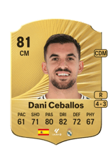 Dani Ceballos 81
