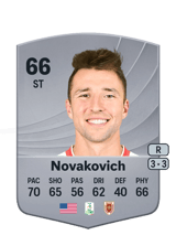 Novakovich 66