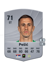 Pešić 71