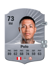 Polo 73