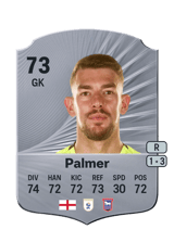 Palmer 73