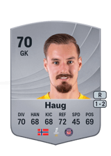 Haug 70