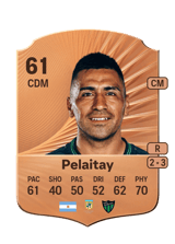 Nicolás Pelaitay 61