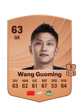 Wang Guoming 63