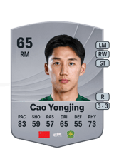 Cao Yongjing 65