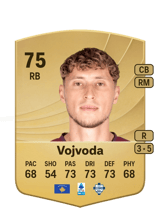 Vojvoda 75