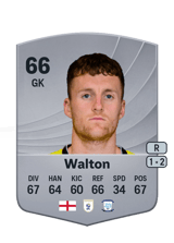 Walton 66
