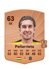 Peñarrieta 63