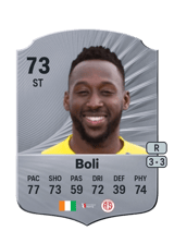 Boli 73