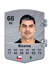 Bizama 66