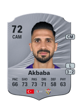 Akbaba 73