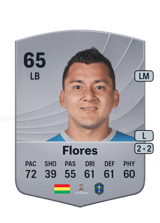 Flores 65