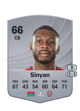 Sinyan 66